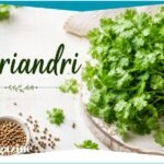 Koriandri