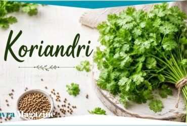 Koriandri