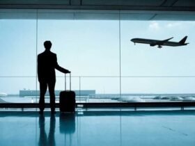 How Can You Enhance the Quality of Your Travel with Airport Transfers?