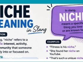 niche meaning slang