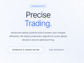 PraxesGroup.com Review: Who Is Behind the Numbers?